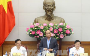 Thủ tướng Nguyễn Xuân Phúc: Làm rõ trách nhiệm tập thể, cá nhân để xảy ra phá rừng