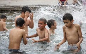 2017 có thể là năm nắng nóng nhất hơn một thế kỷ qua