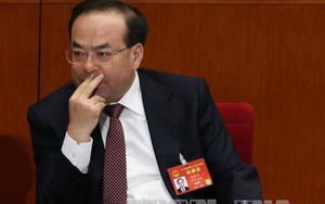 Đại hội XIX Đảng Cộng sản Trung Quốc: Tổng kết 5 năm chống tham nhũng 'đả hổ, diệt ruồi'