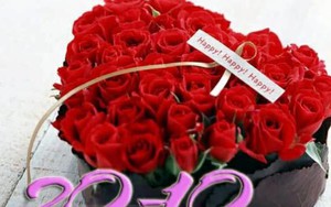 Thơ cho ngày 20/10: Một nửa