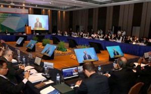 Toàn văn Tuyên bố chung Hội nghị liên Bộ trưởng Ngoại giao - Kinh tế APEC 2017