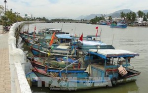 Công điện của Thủ tướng Chính phủ ứng phó với bão số 14