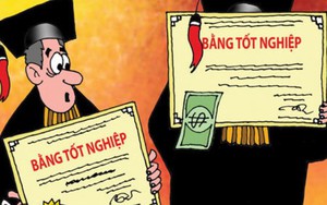 12 nghìn tỷ đào tạo thêm 9 nghìn tiến sĩ: Cần phân biệt bằng cấp và trình độ