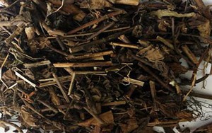 Tác dụng của cây cỏ