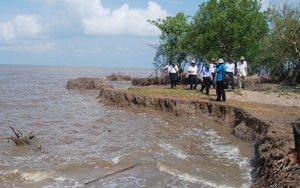 Kiến nghị Thủ tướng cơ chế cho doanh nghiệp xây dựng công trình bảo vệ bờ biển Cà Mau
