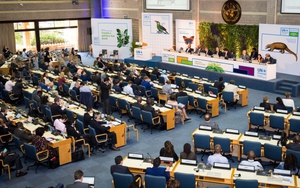 Ô nhiễm môi trường đang là 'sát thủ' lớn nhất của con người