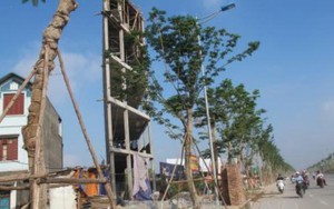 Hà Nội sẽ xử lý dứt điểm 132 trường hợp nhà siêu mỏng siêu méo