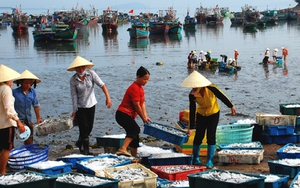 Sầm Sơn, Hải Tiến, Hải Hòa... những bãi biển đẹp để du lịch Thanh Hóa vươn xa