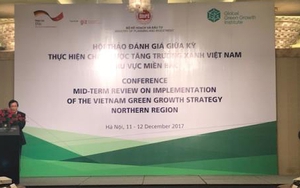 Khuyến khích đầu tư tăng trưởng xanh: Đưa môi trường làm tiêu chí thẩm định tín dụng