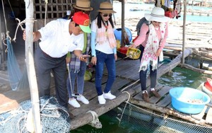 Biển đảo là mũi nhọn phát triển bền vững, hiệu quả du lịch Kiên Giang