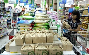 Cố vấn Tổng thống Mỹ: TP HCM sẽ là điểm đến hàng đầu của các doanh nghiệp Hoa Kỳ