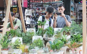 Từ một con đường 'không khói thuốc lá'