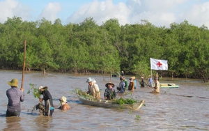 Trồng rừng ngập mặn ven biển giúp ngư dân thêm cơ hội làm giàu