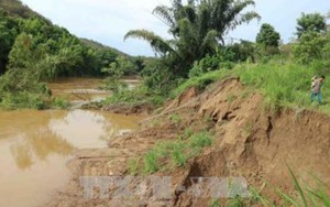 Tham vấn chuyên gia Nhật các giải pháp quản lý môi trường nước lưu vực sông