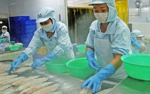 Hoàn thiện chính sách, tăng cường hiệu lực quản lý nhà nước về bảo vệ môi trường