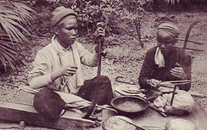 Cần lập hồ sơ đề nghị xét đàn bầu là Di sản Thế giới