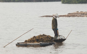 Cát Bà - Quần đảo du lịch 'xanh' đẳng cấp quốc tế