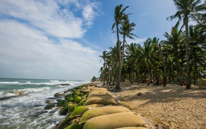 Quảng Nam đẩy mạnh phát triển kinh tế-xã hội hướng ra biển