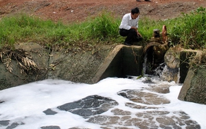 Công ty Phương Đông liên tiếp xả thải gây ô nhiễm môi trường