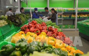 Kết nối chuỗi hành động vì an toàn thực phẩm