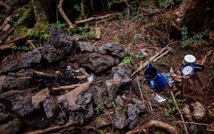 Thăm khu rừng tự sát rợn tóc gáy ở Nhật Bản