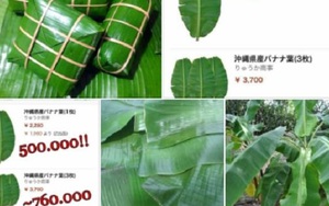 Từ chuyện tàu lá chuối gần 500.000 đồng