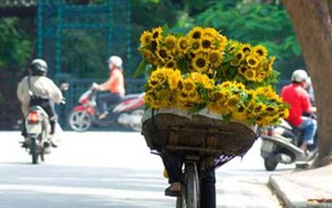 Bắc bộ nắng gián đoạn, Nam bộ có mưa trái mùa về chiều tối