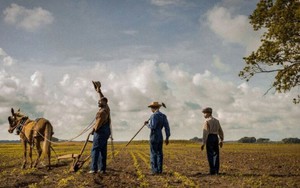 Đề cử Oscar 2018: Những dấu mốc đặc biệt về giới tính