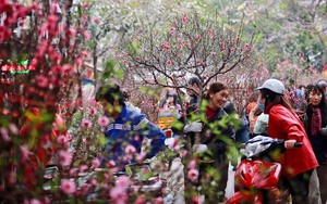 Thương hiệu - 'lời hứa văn hóa' của quốc gia