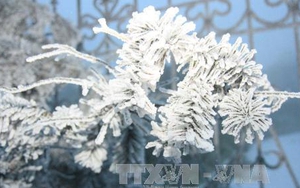 Miền Bắc rét sâu, Hà Nội 9 độc C, băng tuyết mở rộng trên các vùng núi cao