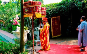 Bảo Sinh - 'pháp sư' siêu sinh cho chó, xây 'khách sạn 5 sao' cho chó mèo