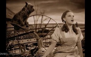 Ca khúc 'Over The Rainbow': Biểu tượng cho ước mơ và khát vọng