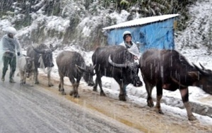 Hôm nay không khí lạnh tăng cường, miền Bắc tiếp tục rét sâu