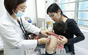 Báo động nguy cơ cao lây lan chủng vi rút cúm mới vào Việt Nam