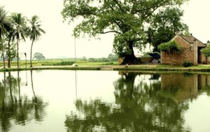 Ngày Tết và ước muốn về với ao làng