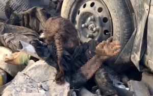 Bức ảnh gây sốc thi thể bé gái trong đống đổ nát ở Mosul