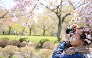 Du Xuân Tết nguyên đán 2018: Những điểm đến hấp dẫn ở châu Á