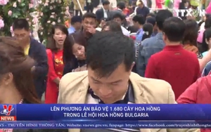 VIDEO: Phương án bảo vệ 1.680 cây hoa hồng trong lễ hội hoa hồng Bulgaria