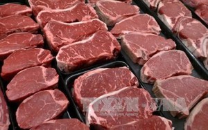 Cục Thú y lý giải việc thịt bò Úc, Mỹ nhập khẩu giá siêu rẻ
