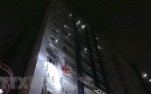 Thủ tướng chỉ đạo điều tra làm rõ nguyên nhân vụ cháy chung cư Carina