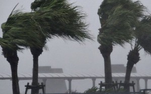 Siêu bão có thể nhấn chìm 1/3 thủ đô Tokyo, Nhật Bản