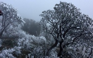 Từ tháng 1-2/2021, rét đậm, rét hại có khả năng kéo dài 5-7 ngày