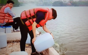 Hà Nội lần đầu thả, cấy tảo lục xuống hồ Gươm