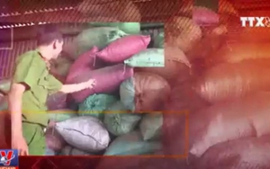 Kết luận thanh tra vụ trộn lõi pin vào phế phẩm cà phê tại Đắk Nông: Làm giả hồ tiêu đen