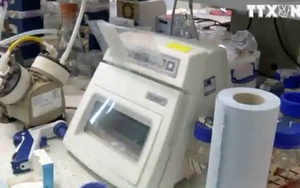 Báo động vi khuẩn trở nên 'vô hình' trước các xét nghiệm an toàn thực phẩm