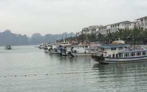 Chủ tịch Hà Nội yêu cầu kiểm tra thông tin 'Thăm vịnh Hạ Long qua hướng Cát Bà: Trò lừa bịp'