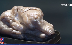 Đấu giá khối ngọc trai nước ngọt lớn nhất thế giới