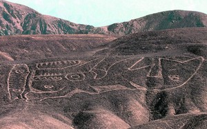 Phát hiện 20 hình vẽ khổng lồ bí ẩn các đây 2.000 năm trên sa mạc Peru