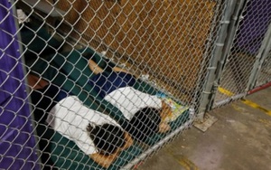 Sự thật về bức ảnh trẻ nhập cư trong chuồng sắt tại Mỹ