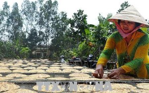 Những chính sách nổi bật có hiệu lực từ tháng 6/2018